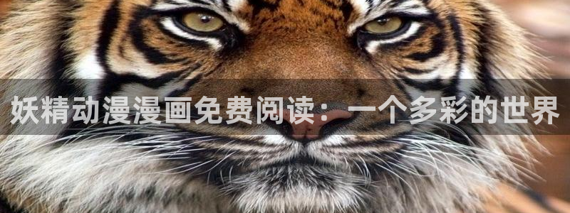 虫虫漫画入口(免费)