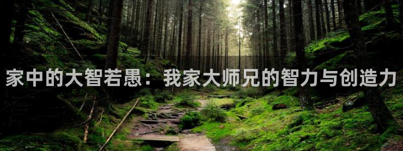 虫虫漫画热门漫画有哪些：家中的大智若愚：我家大师兄的智力与创造力