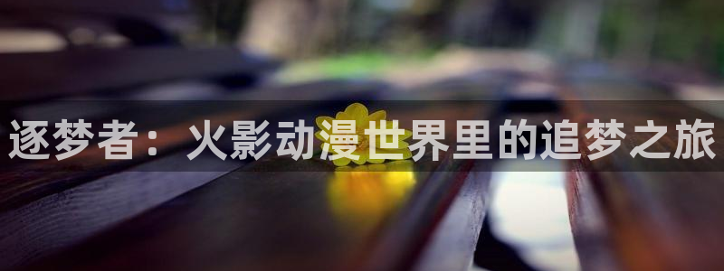 虫虫漫画韩式：逐梦者：火影动漫世界里的追梦之旅